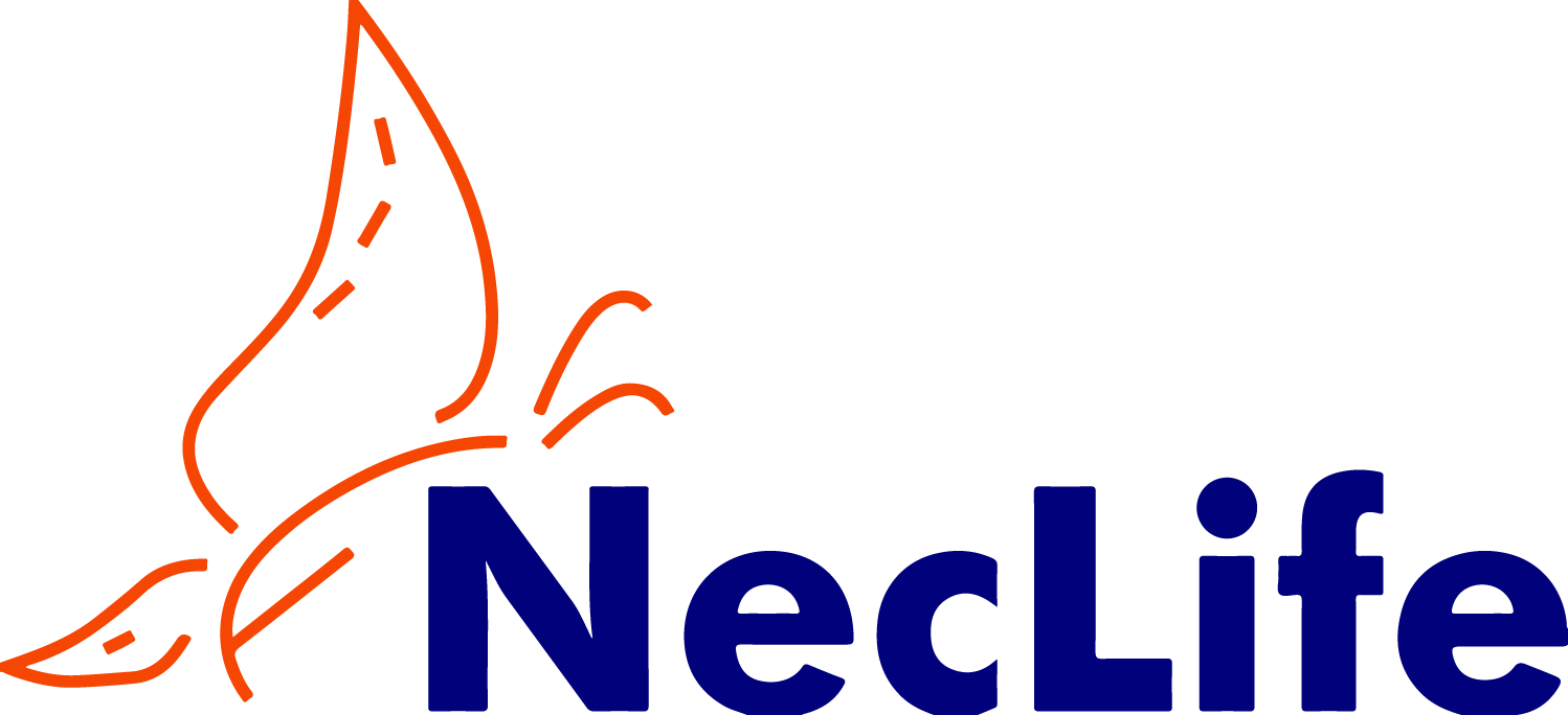 Brand Partner